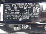 KIA NIRO EV EX PREMIUM KNDCE3LG9K5009990 снимка