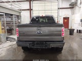 FORD F-150 FX4 1FTFW1ET8EFC55842 снимка