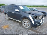 Ford Escape Limited 1FMCU94G69KC26246 снимка