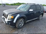 Ford Escape Limited 1FMCU94G69KC26246 снимка