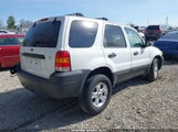FORD ESCAPE XLT/XLT SPORT 1FMYU03166KB00592 photo