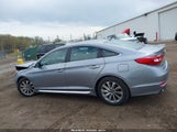 HYUNDAI SONATA SPORT 5NPE34AF6HH558442 снимка
