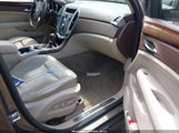 CADILLAC SRX LUXURY COLLECTION 3GYFNAEY3BS583881 снимка