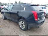 CADILLAC SRX LUXURY COLLECTION 3GYFNDEY7BS557303 снимка