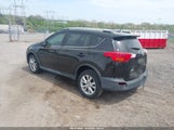 TOYOTA RAV4 LIMITED 2T3YFREV9DW016659 снимка