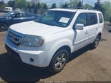 HONDA PILOT EX-L 5FNYF3H56BB025587 снимка