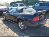 FORD MUSTANG 1FAFP44413F408203 снимка