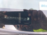 Toyota Corolla Se 2T1BURHE7KC132196 снимка
