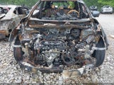 NISSAN MURANO PLATINUM 5N1AZ2MG2HN187958 снимка