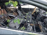 NISSAN MURANO PLATINUM 5N1AZ2MG2HN187958 снимка