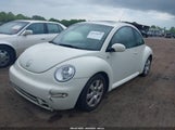 VOLKSWAGEN NEW BEETLE GLS 1.8T 3VWCD21C23M427717 fotografie