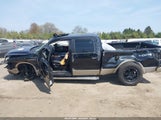 FORD F-150 FX4/HARLEY-DAVIDSON/KING RANCH/LARIAT/PLATINUM/XL/XLT 1FTFW1EV2AFA08943 fotografie
