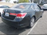 HONDA ACCORD 2.4 EX-L 1HGCP2F80CA062516 снимка