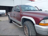DODGE DAKOTA SLT 1D7HG48N43S256520 снимка