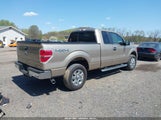 FORD F-150 XLT 1FTFX1EF3EFA91472 снимка