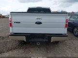 FORD F-150 FX4/LARIAT/XL/XLT 1FTPX14V19FB38811 fotografie