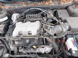 CHEVROLET MALIBU 1G1ND52J13M525622 снимка