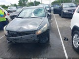HONDA ACCORD 2.4 LX 1HGCP2F32CA064305 снимка