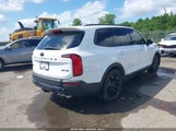 KIA TELLURIDE EX 5XYP3DHC6MG183139 снимка