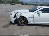 CHEVROLET CAMARO 2LS 2G1FA1ED9B9208677 photo