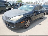 LEXUS ES 330 JTHBA30G165155199 fotografie