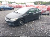HONDA CIVIC LX 19XFB2F55FE041548 fotografie
