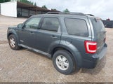 FORD ESCAPE XLT 1FMCU03188KD49781 снимка