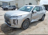 HYUNDAI PALISADE CALLIGRAPHY KM8R74GE9SU887116 fotografie