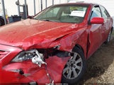TOYOTA CAMRY XLE V6 4T1BK46KX8U054702 photo