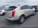 CADILLAC SRX LUXURY COLLECTION 3GYFNAEY1BS638036 снимка
