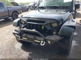JEEP WRANGLER UNLIMITED BLACK BEAR 1C4BJWDG6GL191982 fotografie