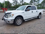 FORD F-150 XLT 1FTFW1CT0EKF51223 снимка