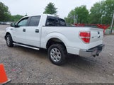 FORD F-150 XLT 1FTFW1CT0EKF51223 снимка
