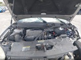 CHEVROLET MALIBU LT 1G1ZT51816F189952 photo