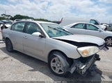 CHEVROLET MALIBU LT 1G1ZT51816F189952 снимка
