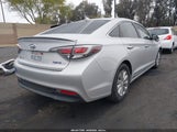 HYUNDAI SONATA HYBRID SE KMHE24L15GA019994 photo