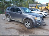 FORD ESCAPE XLT 1FMCU0DG4AKA08256 снимка