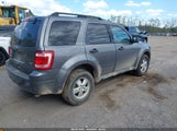 FORD ESCAPE XLT 1FMCU0DG4AKA08256 снимка