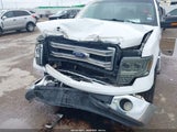 Ford F-150 Xl 1FTFW1CF4DFD68084 снимка