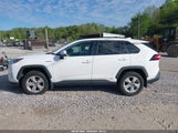 TOYOTA RAV4 HYBRID XLE 2T3RWRFV4LW064880 fotografie