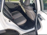 TOYOTA RAV4 HYBRID XLE 2T3RWRFV4LW064880 снимка