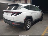 HYUNDAI TUCSON SEL 5NMJBCAE4PH224568 снимка