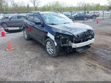 JEEP CHEROKEE LIMITED 1C4PJMDB6GW260957 снимка