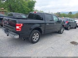 Ford F-150 Xlt 1FTEW1E42KFA27027 снимка