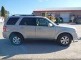 FORD ESCAPE LIMITED 1FMCU04GX9KD12252 снимка