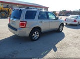 FORD ESCAPE LIMITED 1FMCU04GX9KD12252 снимка