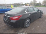 NISSAN ALTIMA 2.5 SV 1N4AL3AP4JC247620 photo