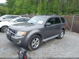 FORD ESCAPE XLT 1FMCU03GX9KD11295 снимка
