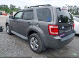 FORD ESCAPE XLT 1FMCU03GX9KD11295 снимка
