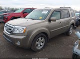 HONDA PILOT EX-L 5FNYF4H51BB076050 снимка